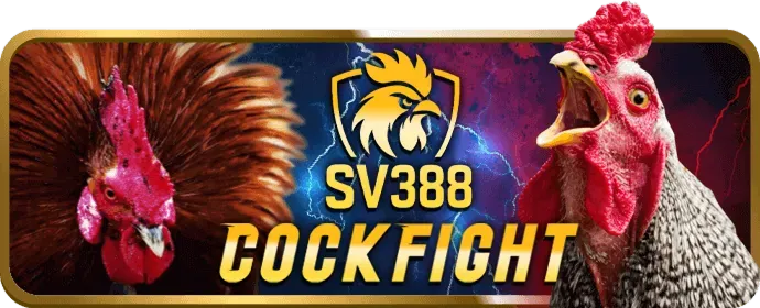 Hoàn Trả Hàng Tuần Thể Thao vn66 link vào
